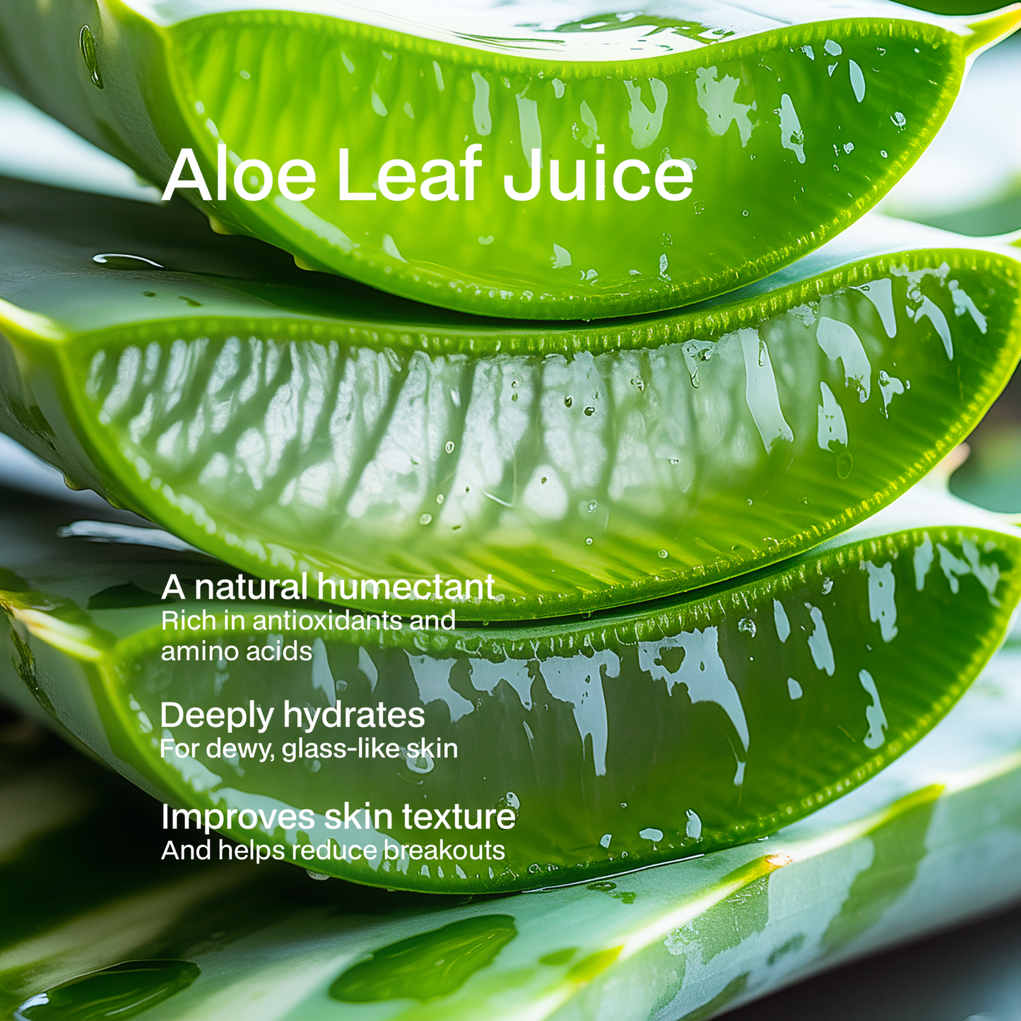 Foaming Oil Cleanser